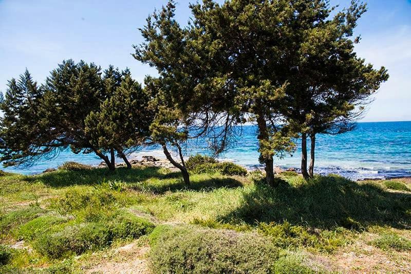 A House Between Ancient Olympia And The Ionian Sea Levendokhórion Екстериор снимка